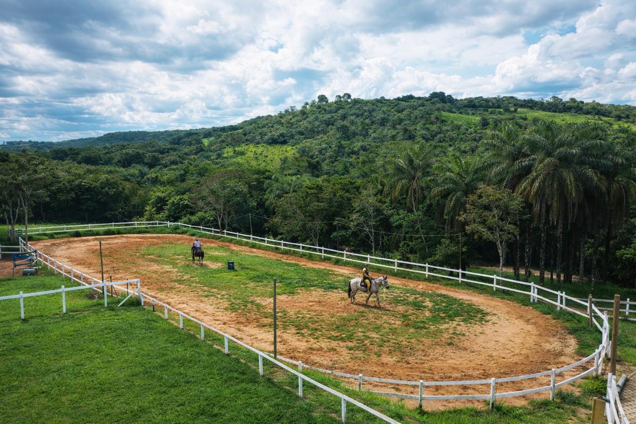 Aulas de Equitação